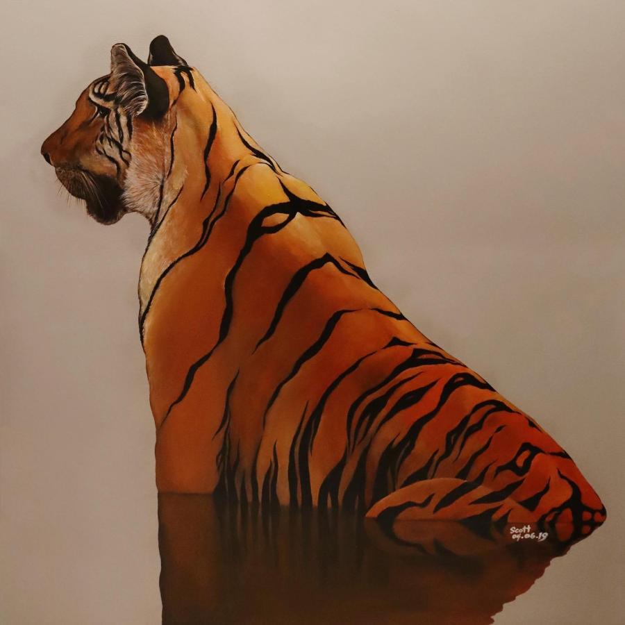 Tiger Hostel Сидней Экстерьер фото